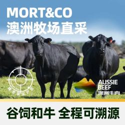 天猫超市 澳洲和牛原切牛排红凤凰M9+西冷/眼肉/板腱雪花牛扒