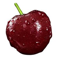  福瑞达 甜脆 车厘子