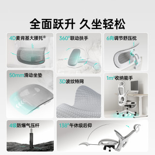 黑白调 P2 Pro+二代人体工学电脑椅办公椅学习椅久坐舒适电竞椅4D腰托 P2Pro+二代霜白 4D腰托+360°扶手