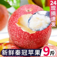 喜思农场 陕西 秦冠粉面苹果 70mm-75mm 3斤