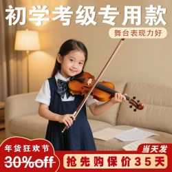 圣维斯 SW245 初学考级专用款小提琴（4/4尺寸）