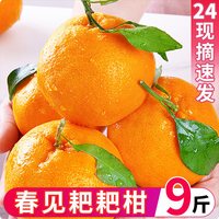 喜思农场 四川 春见耙耙柑橘 3斤 小果 果径65-70mm