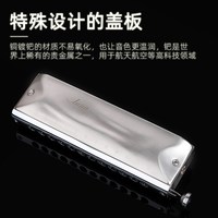 嘉德瑞 月光设计 Luna露娜专业演奏级12孔全金属半音阶口琴