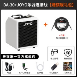 卓乐 BA30贝斯音箱迷你便携蓝牙内录家用练习户外演出贝司音响