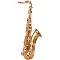 萨尔特 台湾萨尔特次中音萨克斯乐器降b调初学者专业款SP-6100