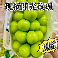 果益寿 云南阳光玫瑰葡萄 2斤 8-10g/粒 新鲜水果礼盒装