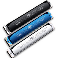 SWAN 德国进口音簧天鹅口琴24孔28男士初学C调复音专业演奏级高端正品