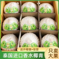 百亿补贴：本来果坊 泰国进口椰青 9粒 大果 新鲜香水椰子