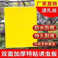 牧火 粘虫板 大号双面诱虫纸贴 防飞虫 安全耐用 园艺通用