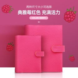 FILOFAX 英国进口filofax POP personal A6 A5