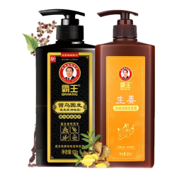 霸王 何首乌固发洗发水+生姜控油洗发露 600ml+600g