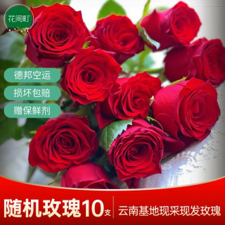 花间町 玫瑰鲜花 10枝