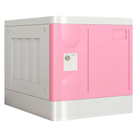  NG/奈高 带锁 储物柜 锁  单门310*350*500 2层