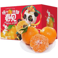 水果 春公子 四川春见耙耙柑 75-85mm 8-9斤 彩箱礼盒装