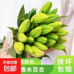 康乃馨 鲜花 云南基地直发 女神节礼物花束 随机混色百合 6个花苞