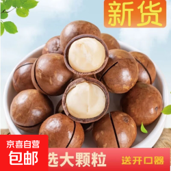 奶油味夏威夷果送开口器 500g*1袋 净重新货