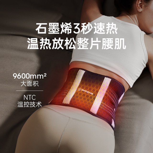 88VIP：西屋电气 BR3 腰部按摩器