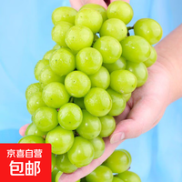 阳光玫瑰 无籽青提 带箱3斤（单果10g+）