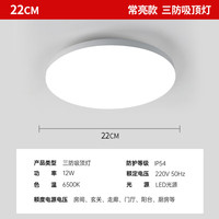 百士安 三防吸顶灯 22cm