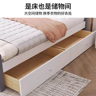  标勋 现代简约 双人床+弹簧床垫 宝马灰床+20CM弹簧床垫 1.2米*2米