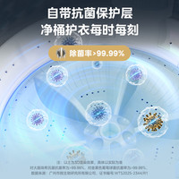 美的 随心洗波轮洗衣机全自动 8公斤免清洗 一级能效 MB8V56T 京东自营