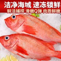  云储生活 深海 红石斑鱼