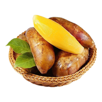  泽鲜达 新鲜当季 雪莲果