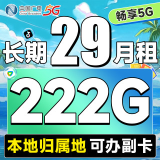 中国广电 本地归属地 长期29元月租（无需返费+222G通用流量+可办副卡+无合约期）畅享5G盛平卡