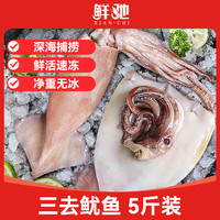  xianchi/鲜驰 冷冻鱿鱼