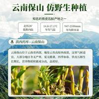 福東海 泡茶泡水煲汤料 铁皮石斛干条 110g