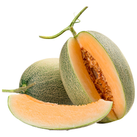 京觅 源头直发 哈密瓜