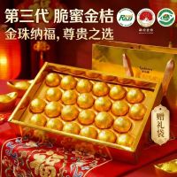 京鲜生 融安6A级脆蜜金柑 每粒包金箔纸 净重2.5斤 24粒 *2盒