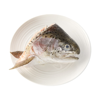  龙羊峡 高原冷水鱼 冷冻虹鳟鱼头