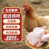  恋味儿 农家散养 三黄鸡  1.35kg*2袋 1.35kg 袋装