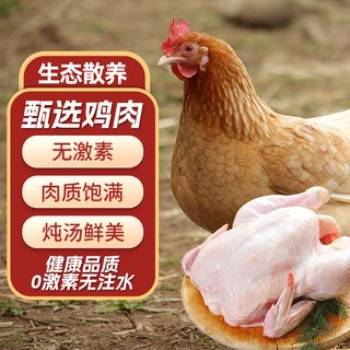  恋味儿 农家散养 三黄鸡  1.35kg*2袋 1.35kg 袋装