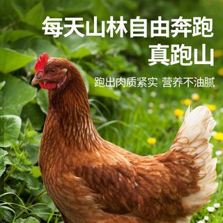  恋味儿 农家散养 三黄鸡  1.35kg*2袋 1.35kg 袋装