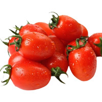  舅甜果蔬 现摘 玲珑小番茄