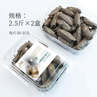 十里馋 鲜活带泥 蛏子 蛏子(鲜活带泥 产地直发) 2.5kg
