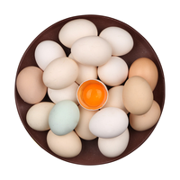 小覃同学 柴鸡蛋 10枚