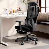  enova/乐瓦 人体工学设计 人体工学椅