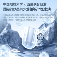  Westinghouse/西屋电气 RO反渗透 净饮一体机