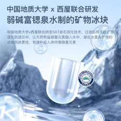 西屋电气 RO反渗透 净饮一体机