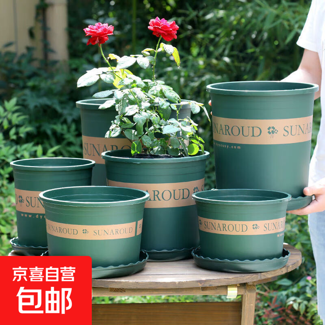 花盆绿植盆栽加厚塑料简约多肉小盆阳台客厅月季玫瑰大号家用花盆 矮款0.5加仑(口径10cm)1个盆 不带托盘