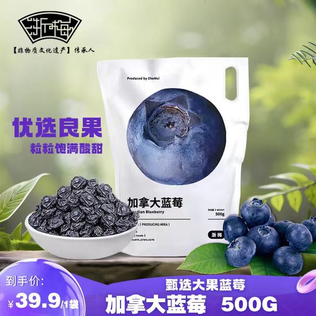 浙梅 蓝莓干500g量贩装