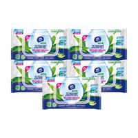  Vinda/维达 芦荟 湿厕纸  芦荟湿厕纸80片*5包（整箱）