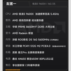 AMD 高性能 电竞游戏台式组装电脑主机 9600X+16G+512G丨
