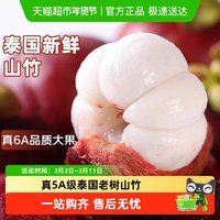 88VIP：寻天果蔬 泰国油竹山竹 1.8斤/4.5斤