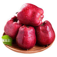  千朵云 新鲜当季 红蛇果