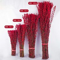 花翁 银柳鲜花 80cm 30支 喜庆红