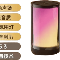  SOAIY/索爱 便携式 蓝牙音箱 双麦克风